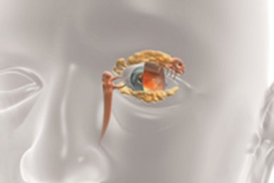 眼科