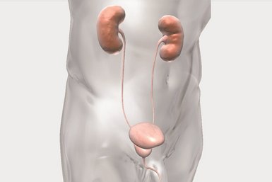 泌尿外科